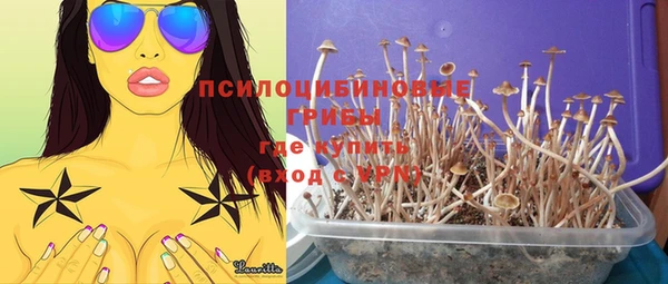 a pvp Абинск