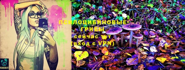 скорость Мегион