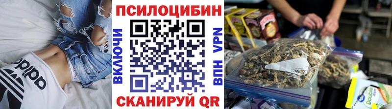 Галлюциногенные грибы мицелий мега вход Кисловодск